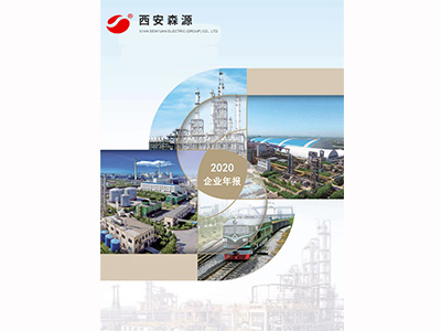 2020年企业年报