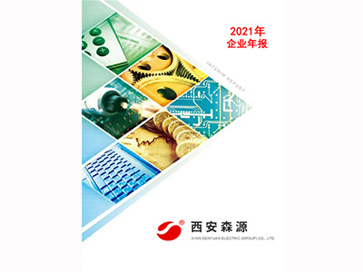 2021年企业年报