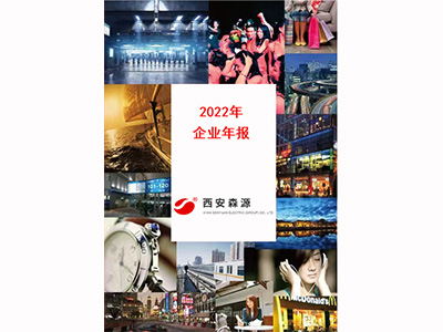 2022年企业年报
